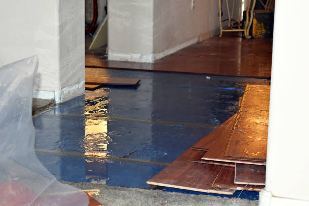 Professional Basement Flood Cleanup technician working in Drummonds, TN